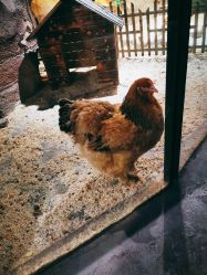 -酷嗒动物文化乐园(cutezoo西溪乐天城店)