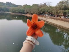 -广州莲花山旅游区