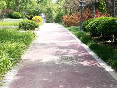 -武清南湖绿博园