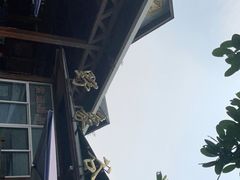 -野象谷景区