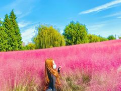 -羊亭河湿地公园