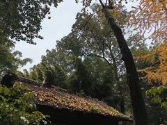 -成都杜甫草堂博物馆