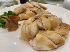 白切鸡-粤西稻里(富力路店)