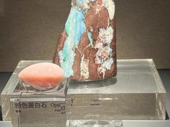 -中国地质博物馆