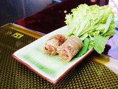 炸猪肉春卷-CYCLO(158坊店)