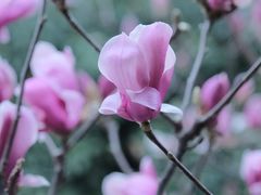 -苏州文旅花间堂·探花府酒店