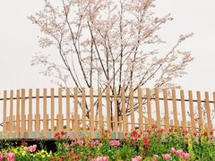 -上海植物园-4号门售票处