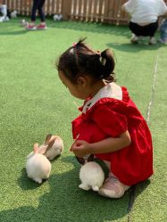 -萌宠亲子动物乐园(槐房万达店)