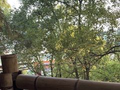 -巴倒烫陆派重庆火锅(南山店)