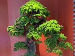 -阿伟海鲜楼·福建菜(延寿店)