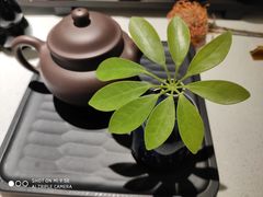 -张一元茶庄(望京店)