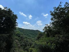 -广州市白云山风景名胜区