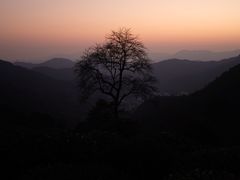-西湖风景区十里琅珰-五云山