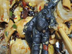 -黑竹香鸡(营和巷店)