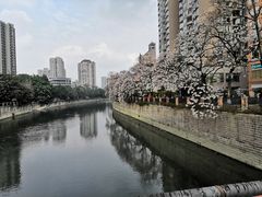 -成都市活水公园