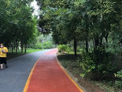 -大兴滨河森林公园