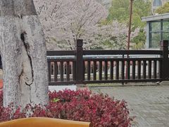 -汪玉霞(汉口里店)