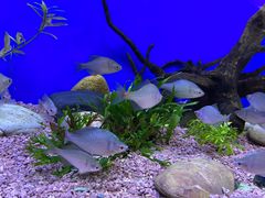 -上海海洋水族馆