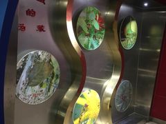 -上海昆虫博物馆