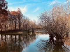 -贡湖湾湿地公园