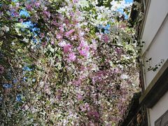 -深圳国际园林花卉博览园