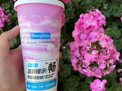 -Blueglass酸奶(华贸购物中心店)