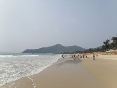 -西涌国际滨海旅游区