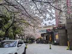 -玛格萝妮比萨屋(四平店)