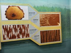 -大同煤炭博物馆