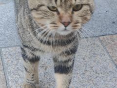 -洛东土菜馆(建国北路店)