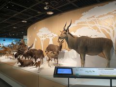 -陕西自然博物馆