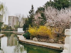 -团结湖公园