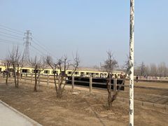 -北京群众马术培训基地