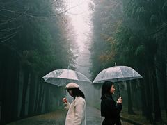 -山王坪喀斯特国家生态公园