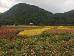 -广州市石门国家森林公园