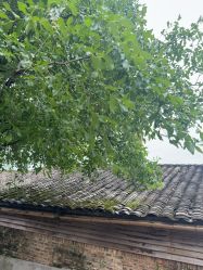 -星光兔·西扶海棠·写真馆(景德镇店)