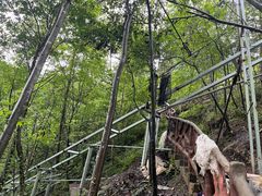-鹿院坪生态旅游景区
