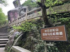 -普陀山风景名胜区-法雨禅寺