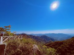 -大岭沟猕猴桃谷风景区