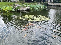 -杭州西湖柳莺里酒店