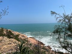 -广东惠东海龟国家级自然保护区