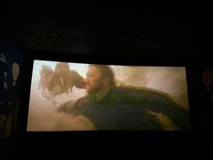 -AMG海上明珠影城(上海环球港RealDCinema店)