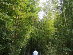 -水底山庄园温泉