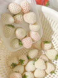 -美肤盾祛痘·问题肌头疗管理中心