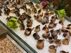 -大连富丽华大酒店·花都西餐厅