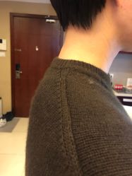 -颜和骨正·明哲式骨相美学整骨