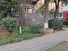 -长沙市青少年宫