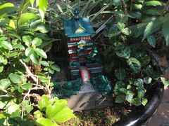 门面-三鹰之森吉卜力美术馆