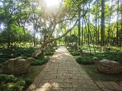 -上海方塔园