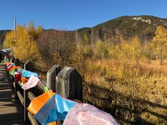 -泸沽湖国家级风景名胜区走婚桥